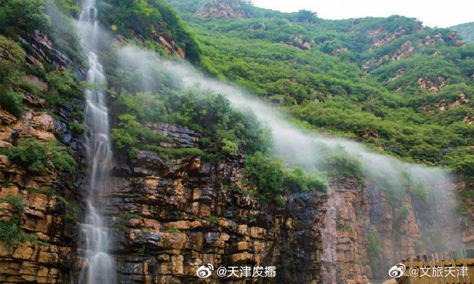 校园追星变形记